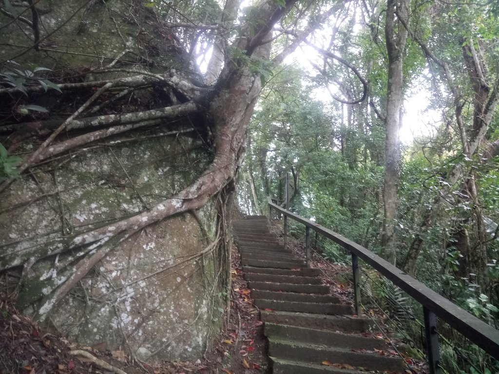 DSC_2819.JPG - 獅頭山  獅山古道  (02)