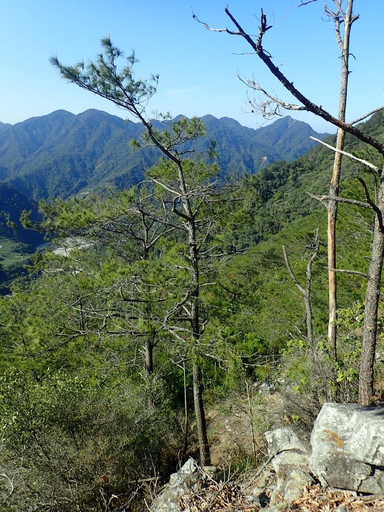 P3167196.JPG - 谷關  東卯山東南稜