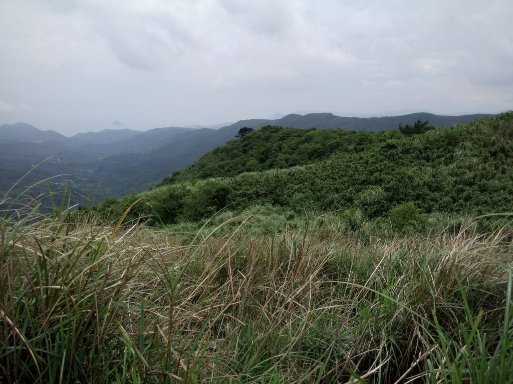 DSC_9355.JPG - 萬里  風櫃嘴  頂山