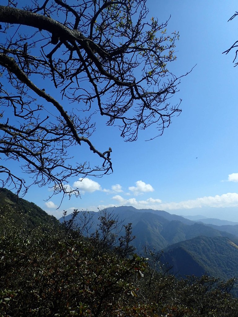 P2034805.JPG - 南庄  加里山