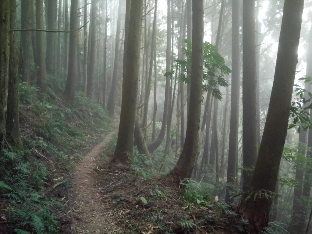 DSC_3756.JPG - 南庄  加里山  森林鐵道