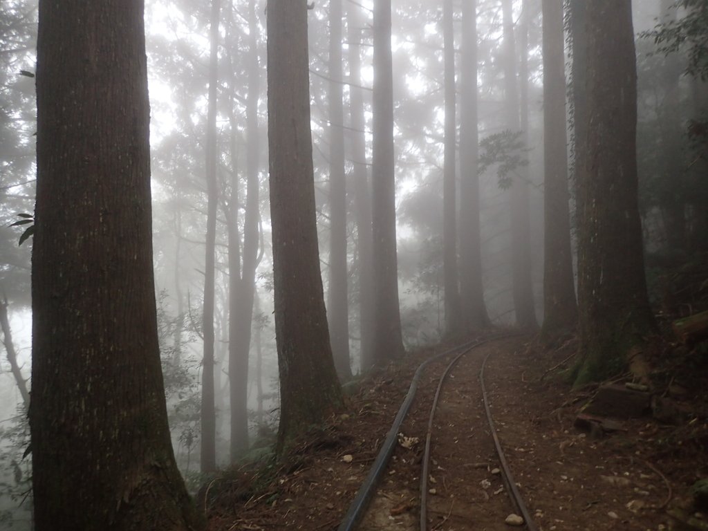 P2035025.JPG - 南庄  加里山  森林鐵道