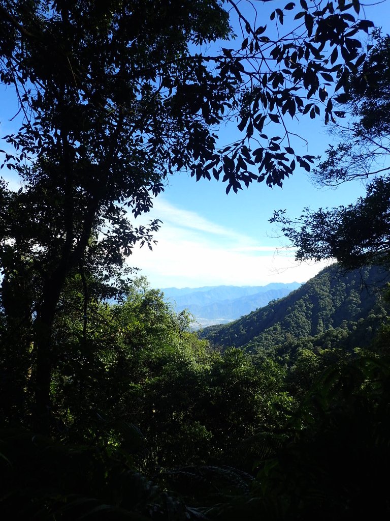 P7105110.JPG - 魚池  水社大山