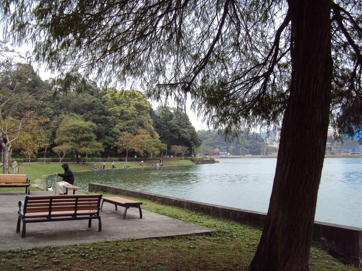 DSC04624.JPG - 內湖  碧湖環湖步道