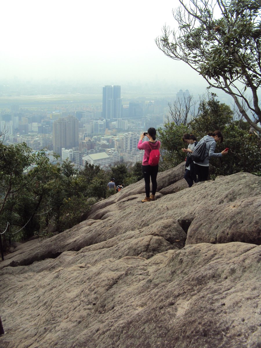 DSC06696.JPG - 內湖  金面山步道