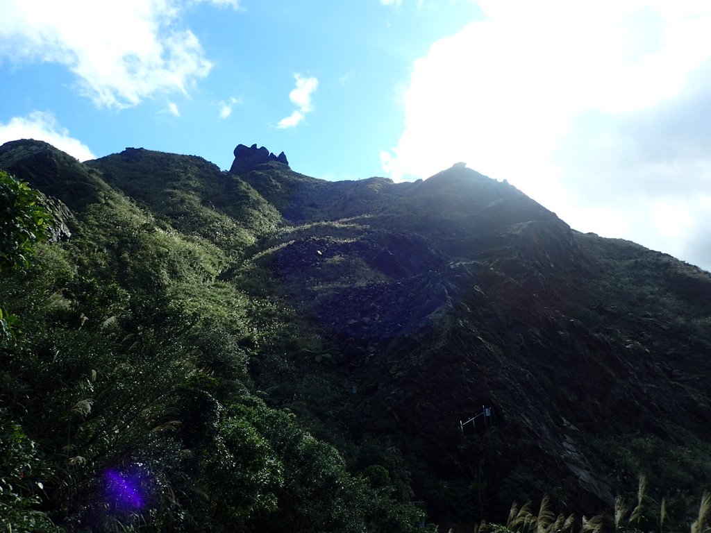 P1102361.JPG - 半坪山  無耳茶壺山