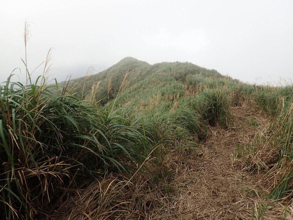 P1203504.JPG - 瑞芳  牡丹山