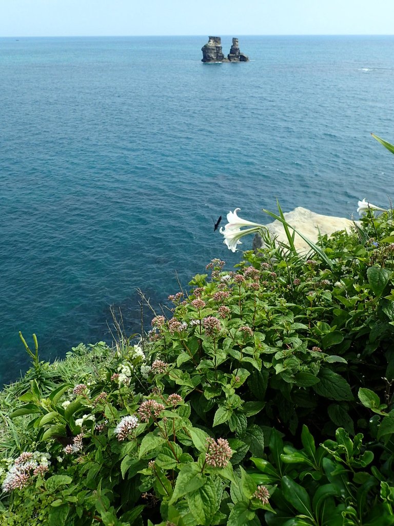 P5056575.JPG - 金山  燭臺雙ˊ峙 神秘海岸