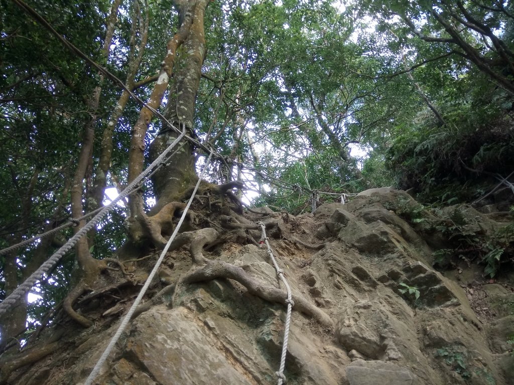 DSC_4774.JPG - 獅潭  仙山