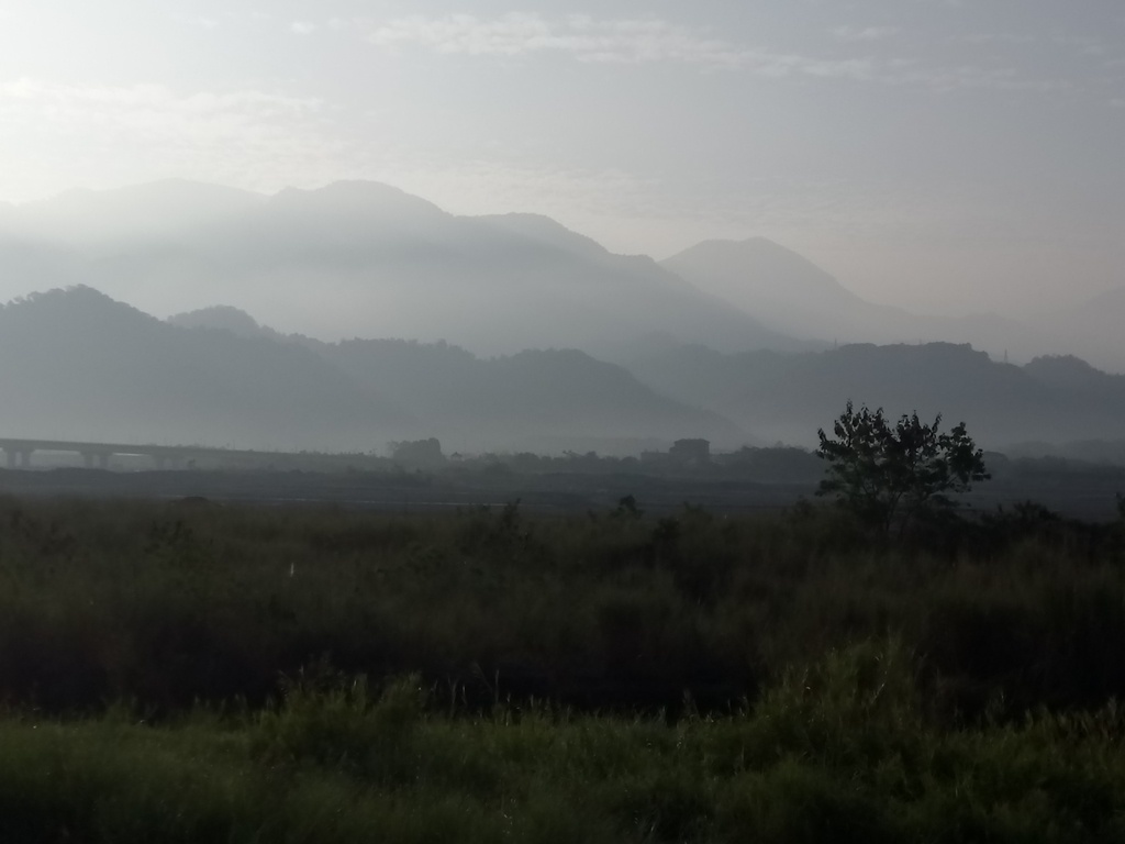 DSC_9818.JPG - 集集  集鹿大橋  晨光之美