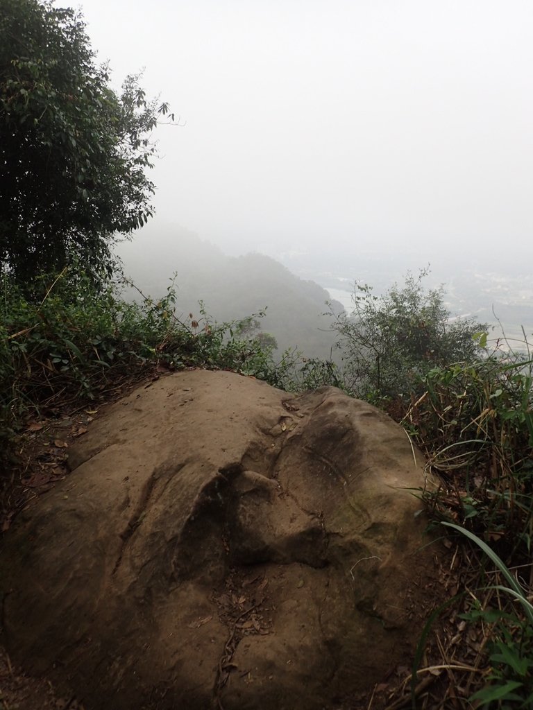 P2107520.JPG - 大溪  溪洲山登山步道