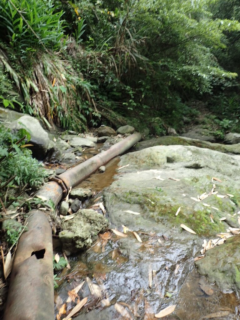 PA171295.JPG - 鹿谷  長源圳古道
