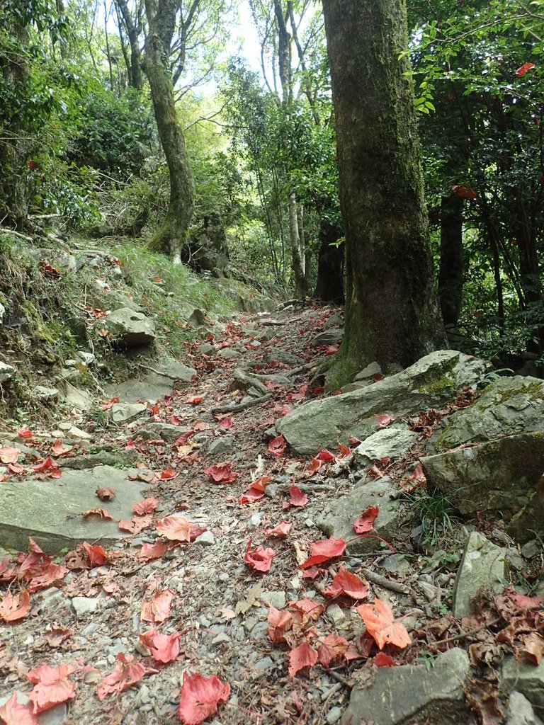 PA185633.JPG - 台中  和平  稍來山