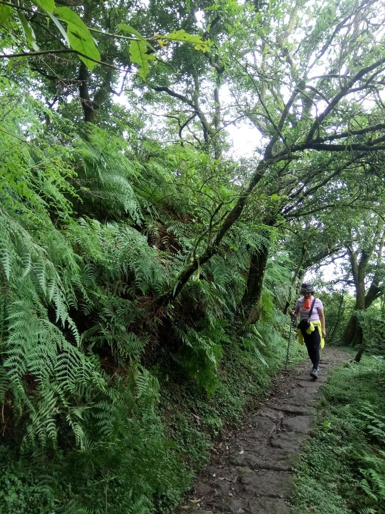 DSC_9357.JPG - 萬里  風櫃嘴  頂山