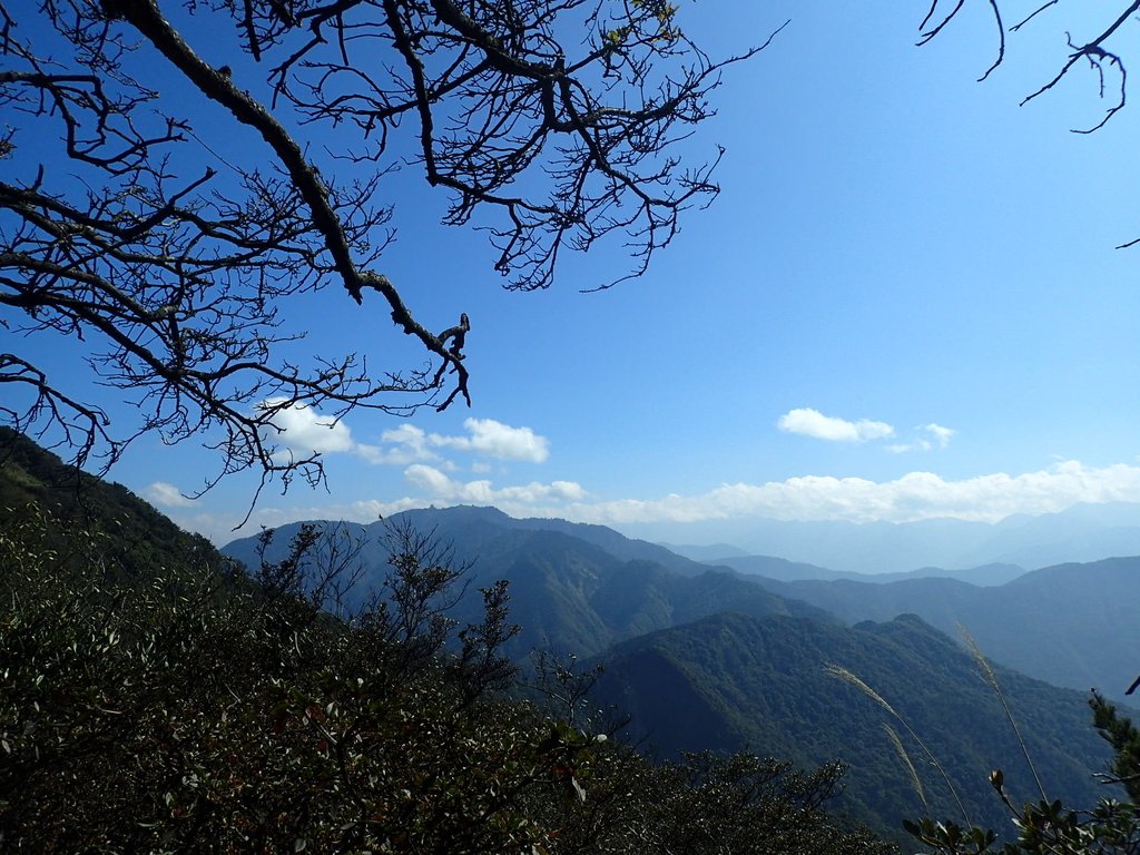 P2034806.JPG - 南庄  加里山