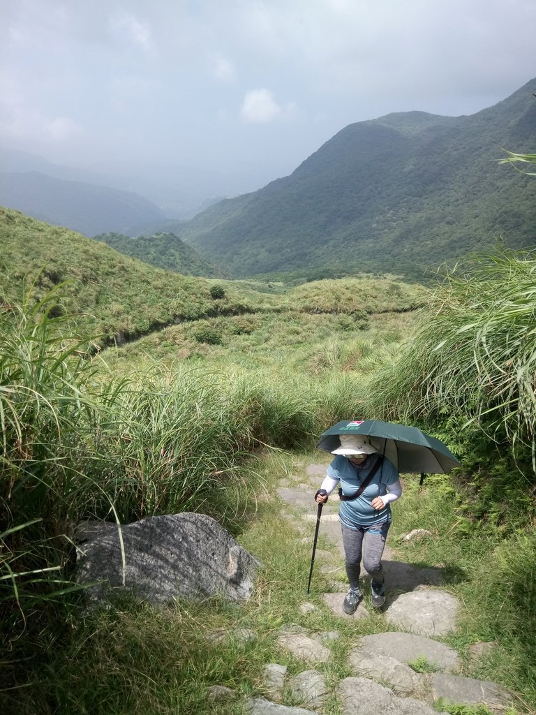 DSC_8653.JPG - 再訪  金包里大道  (魚路古道)