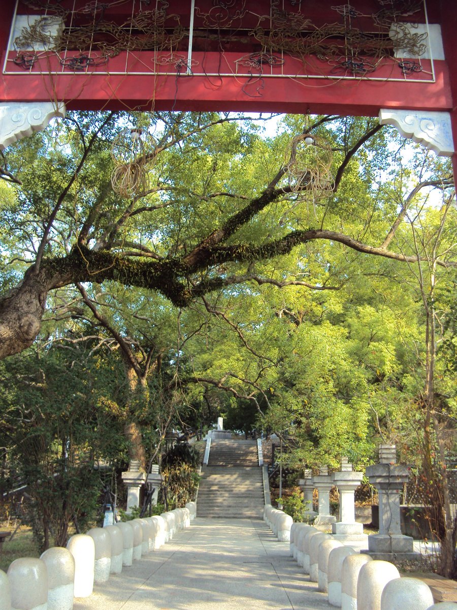 DSC00859.JPG - 再訪  員林神社遺跡