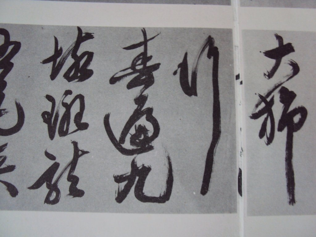 DSC00023.JPG - 王問  草書作品