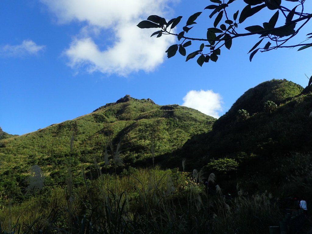 P1102365.JPG - 半坪山  無耳茶壺山