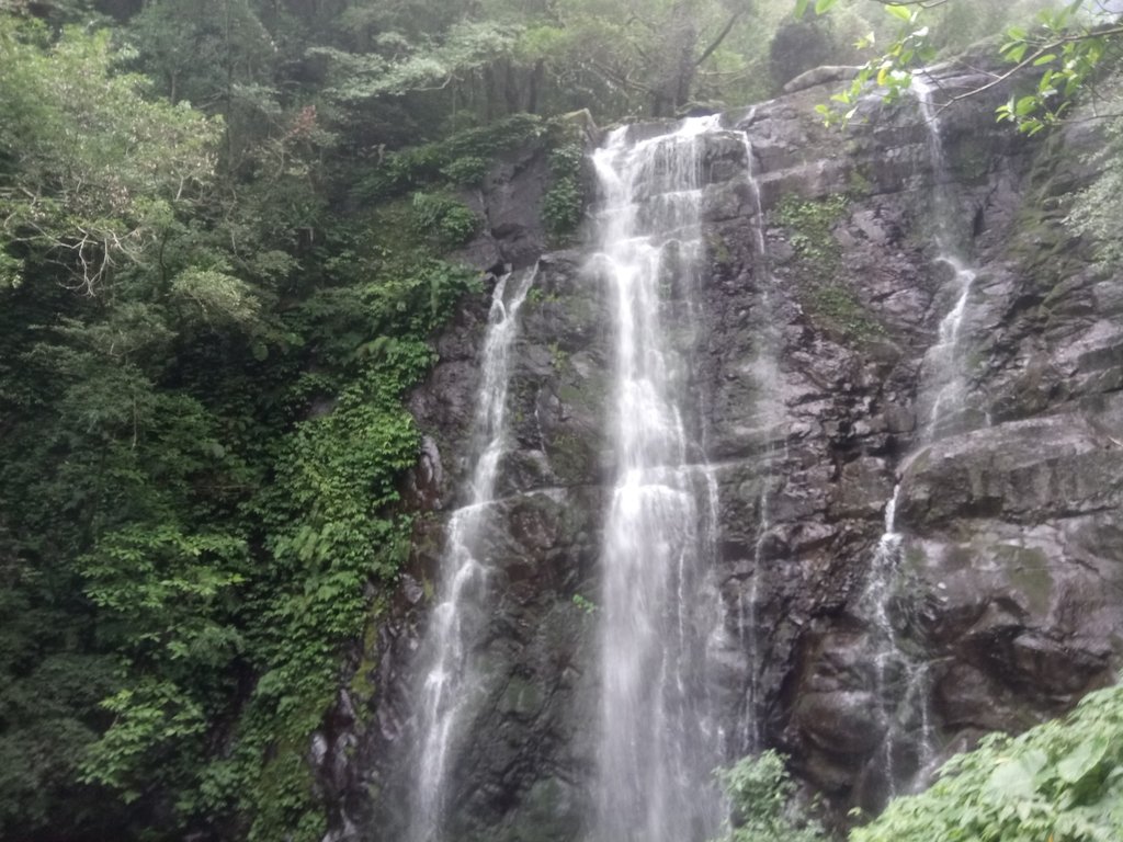 DSC_6133.JPG - 三峽  滿月圓森林遊樂區