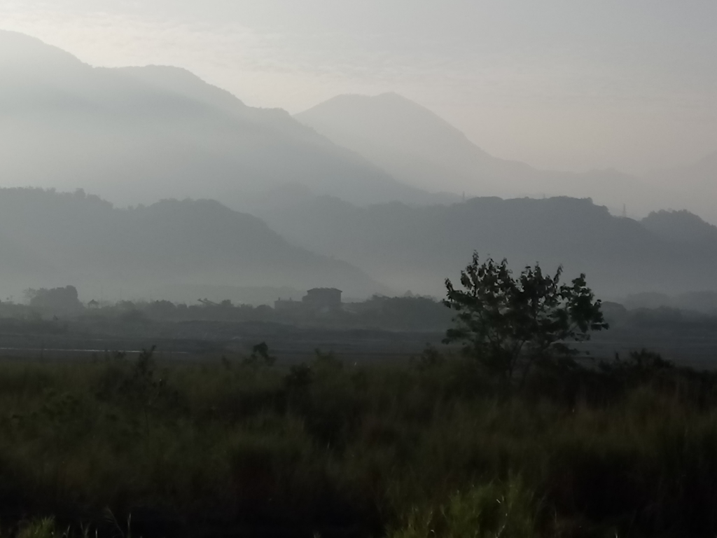 DSC_9819.JPG - 集集  集鹿大橋  晨光之美