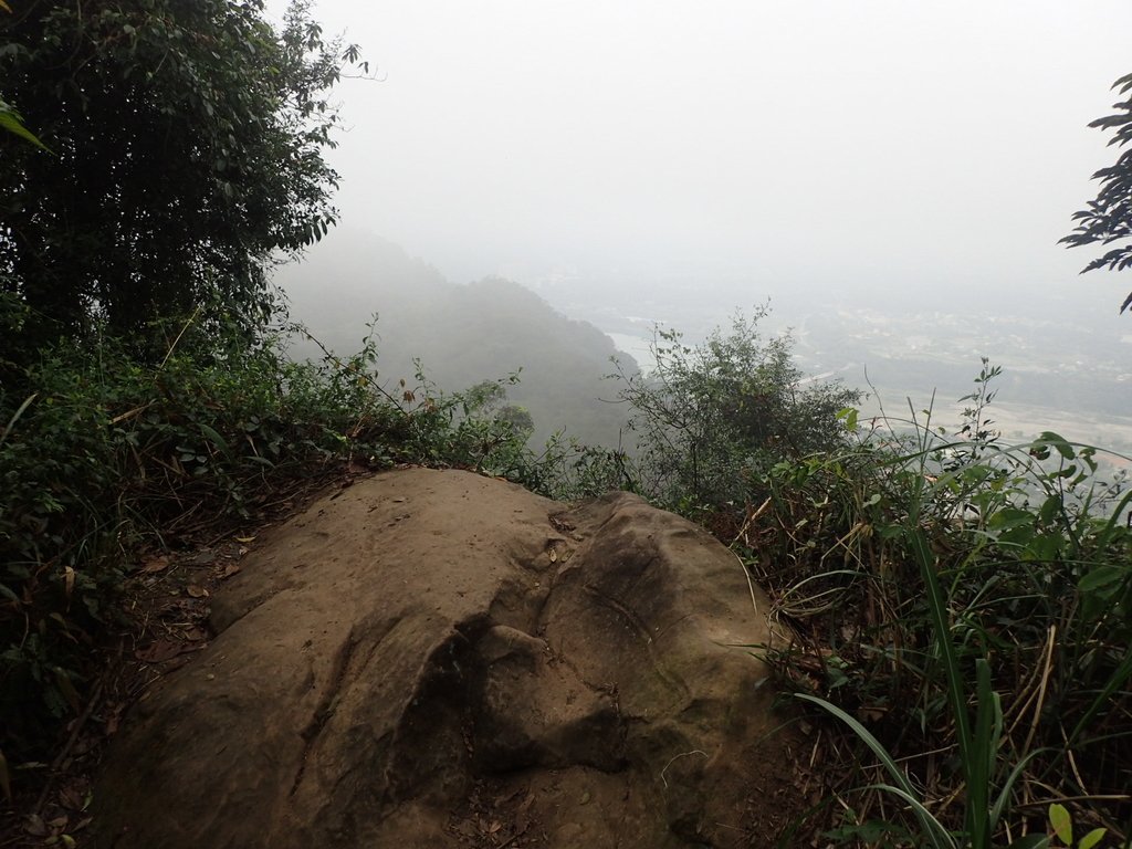 P2107521.JPG - 大溪  溪洲山登山步道