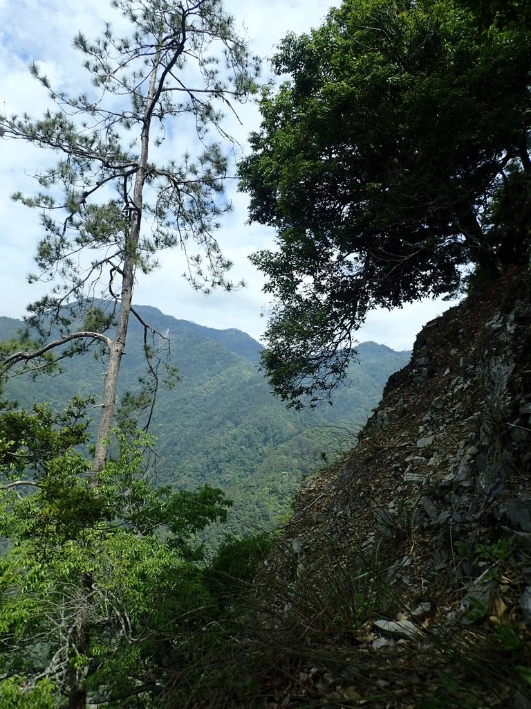 P5012305.JPG - 谷關七雄之  波津加山