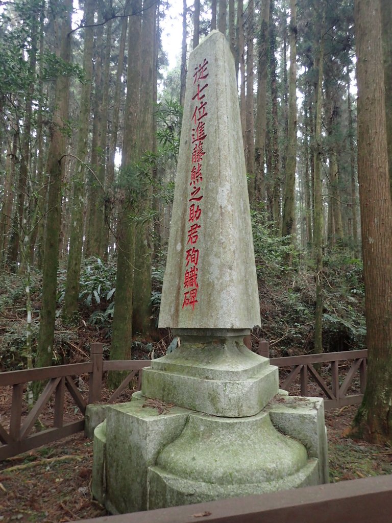 P3257974.JPG - 阿里山  二萬坪步道