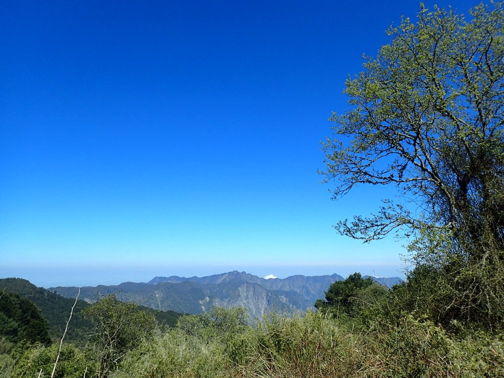 P3268072.JPG - 鹿林山  麟趾山步道  (01)