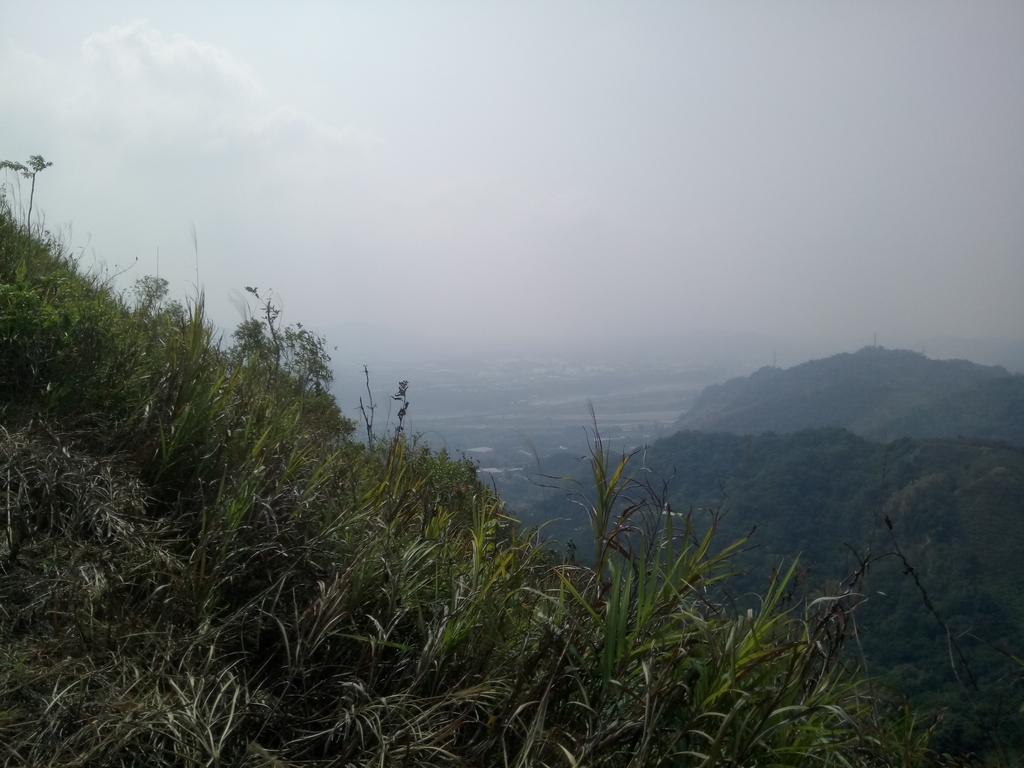 DSC_7368.JPG - 草屯平林  九九峰森林步道