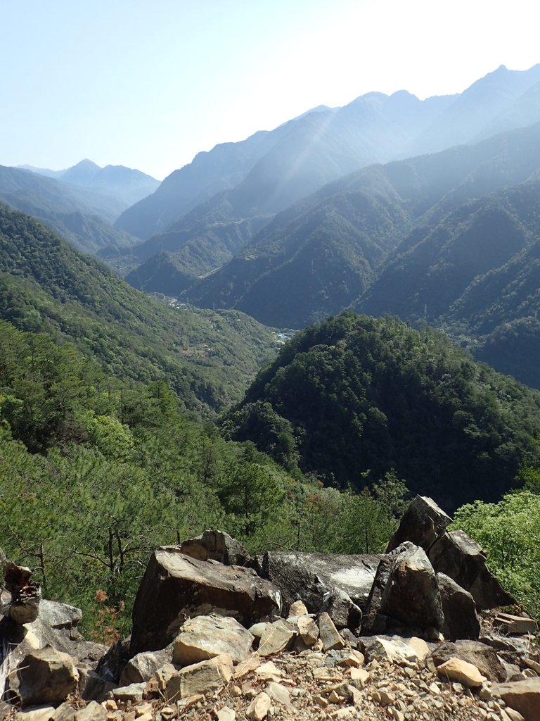 P3167174.JPG - 谷關  東卯山東南稜