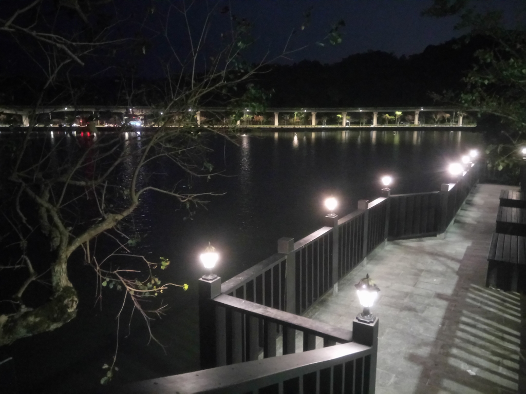 DSC_9305.JPG - 內湖  大湖公園之夜色