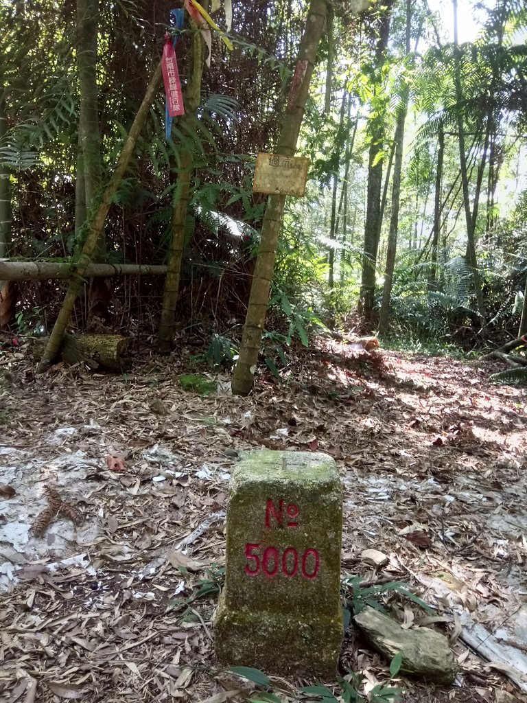 DSC_4046.JPG - 魚池  過坑山登山步道