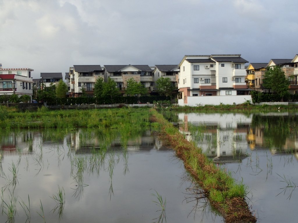 PA104168.JPG - 壯圍  竹安  水田雲影