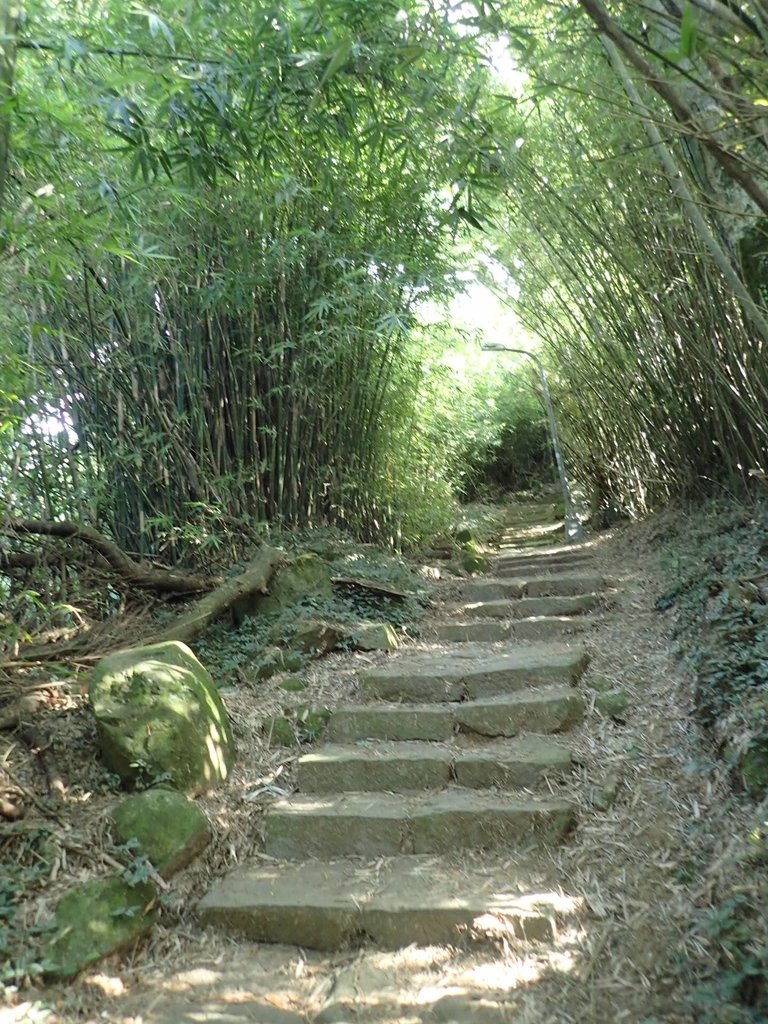 P9238165.JPG - 北投  面天山  向天湖步道