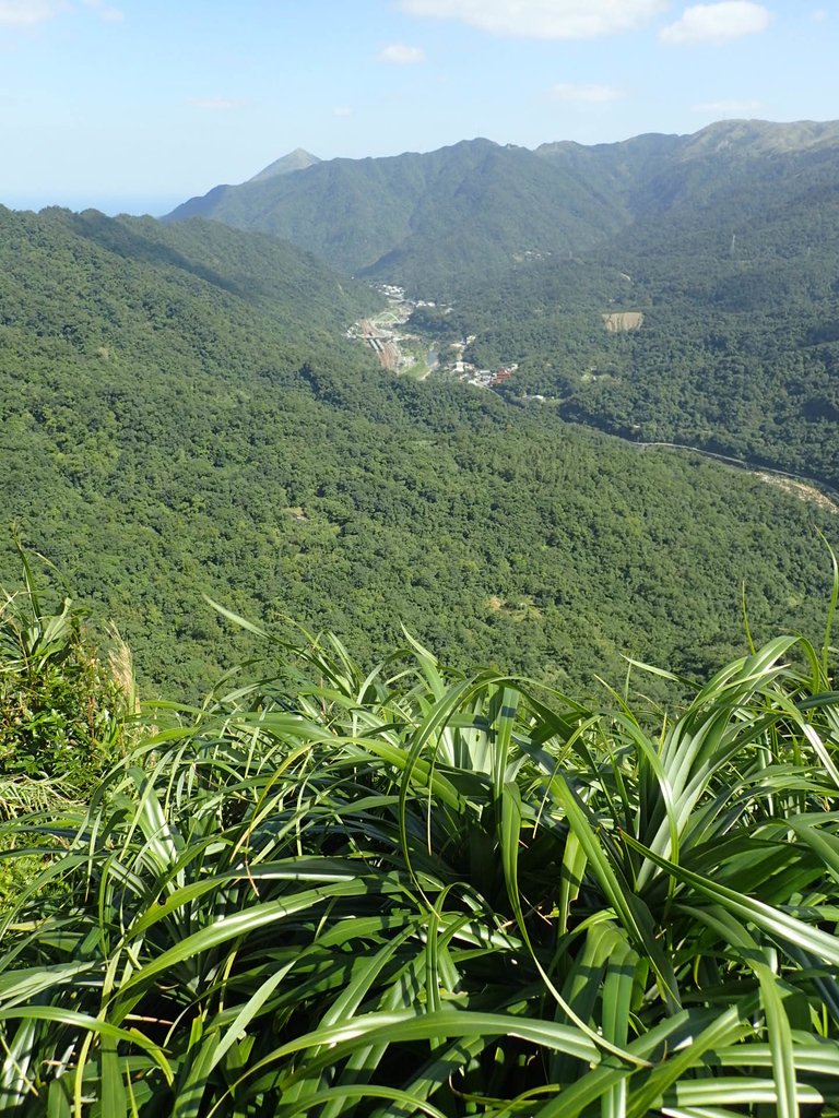 PA285473.JPG - 侯硐  獅子嘴奇岩