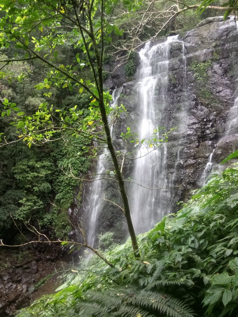 DSC_6135.JPG - 三峽  滿月圓森林遊樂區