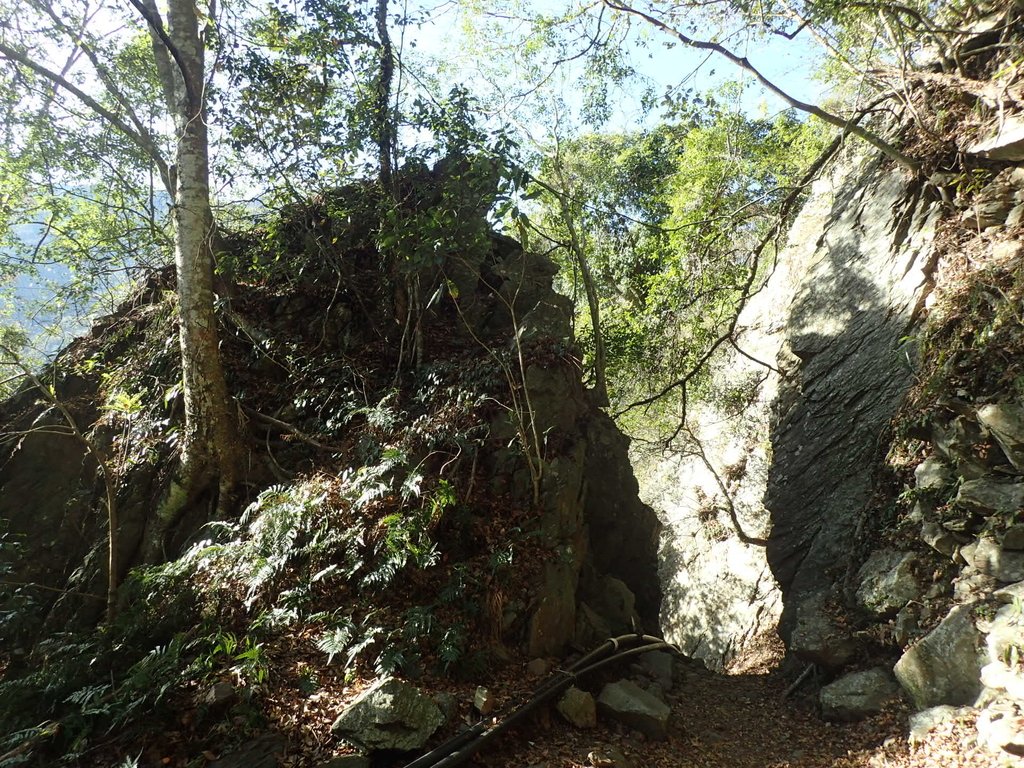 P1022735.JPG - 東埔  八通關古道