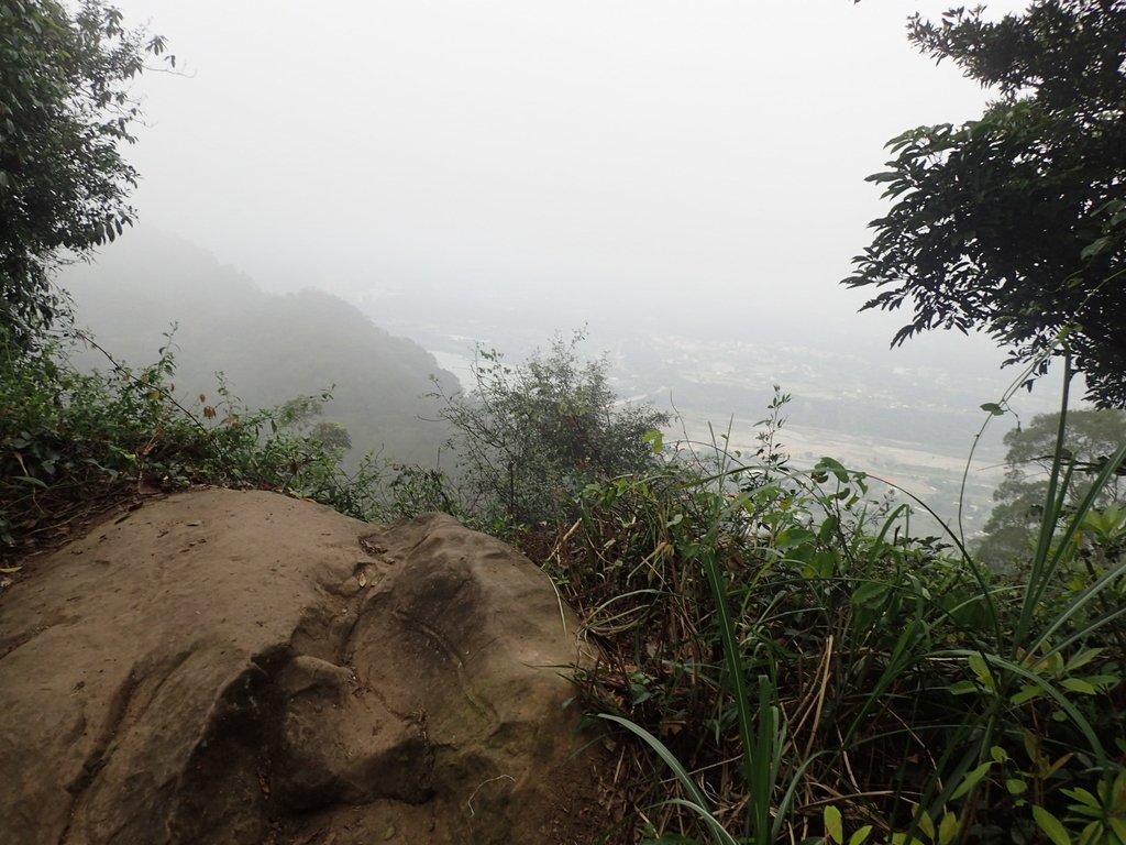 P2107522.JPG - 大溪  溪洲山登山步道