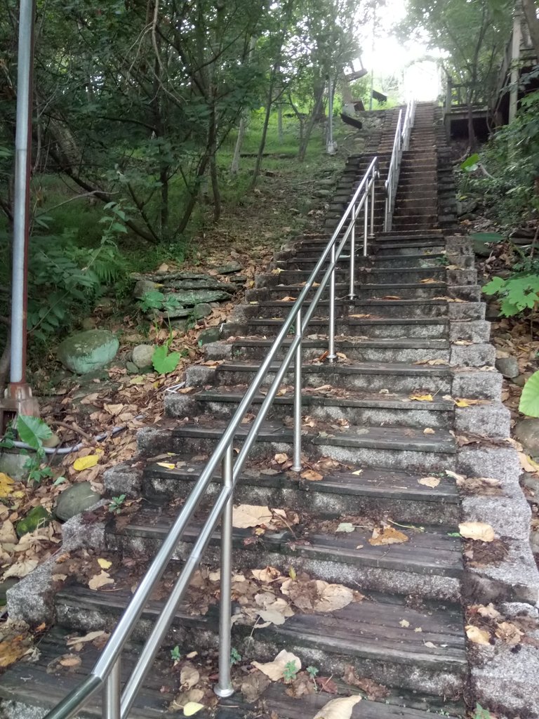 DSC_8989.JPG - 苗栗  稻荷神社遺址