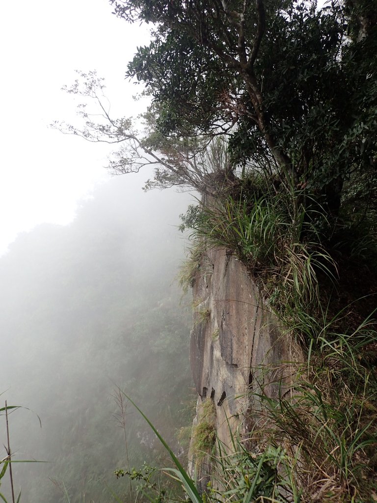 PA231713.JPG - 石壁山  嘉南雲峰步道