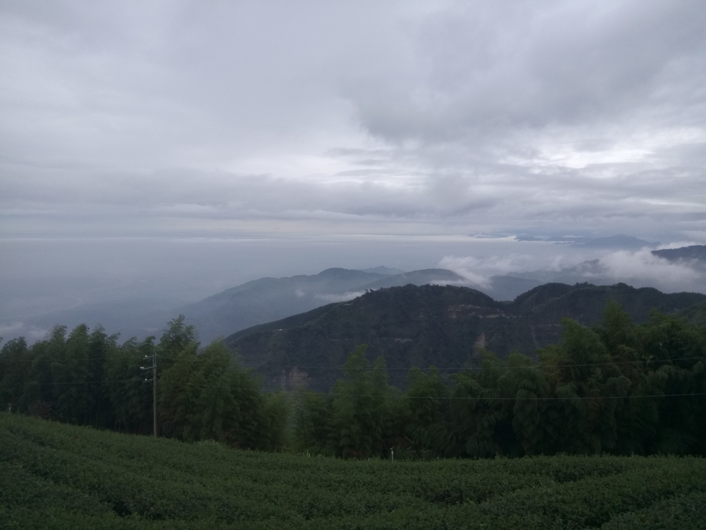 DSC_1327.JPG - 古坑  雲嶺之丘