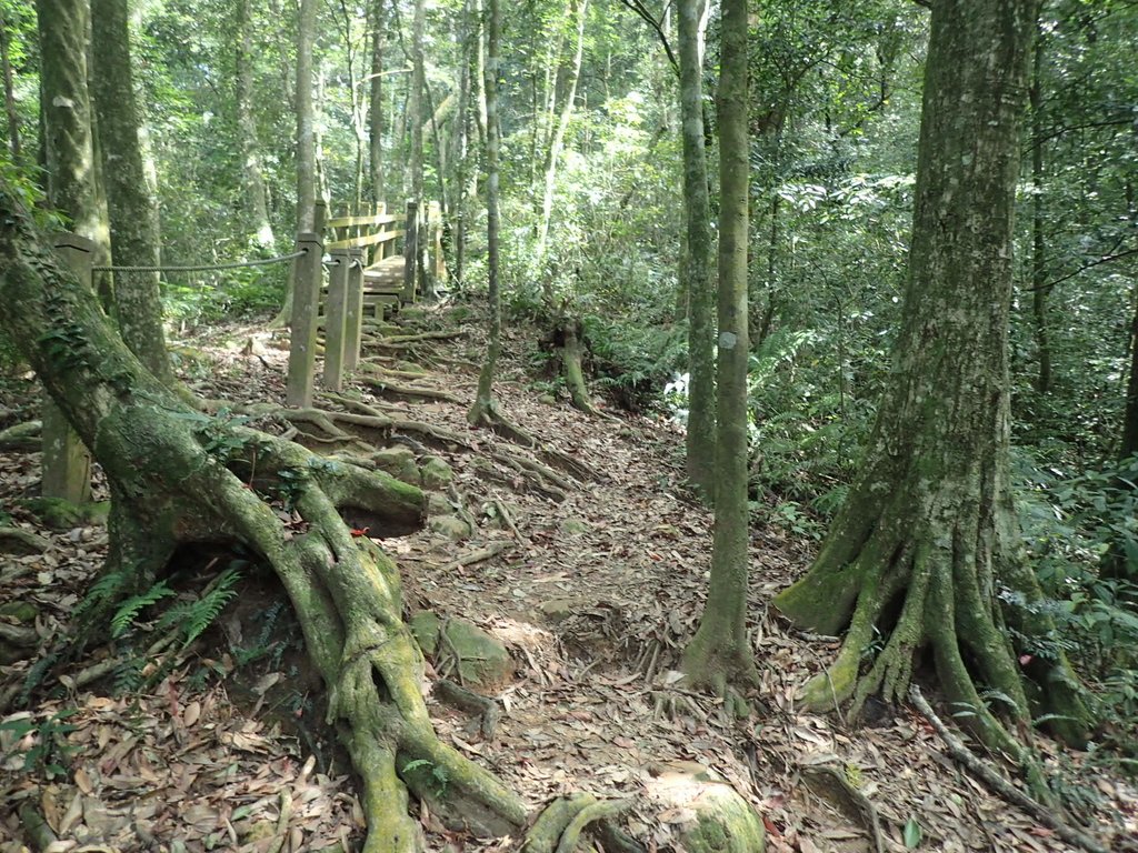 PA064465.JPG - 大湖  馬那邦山  (03)