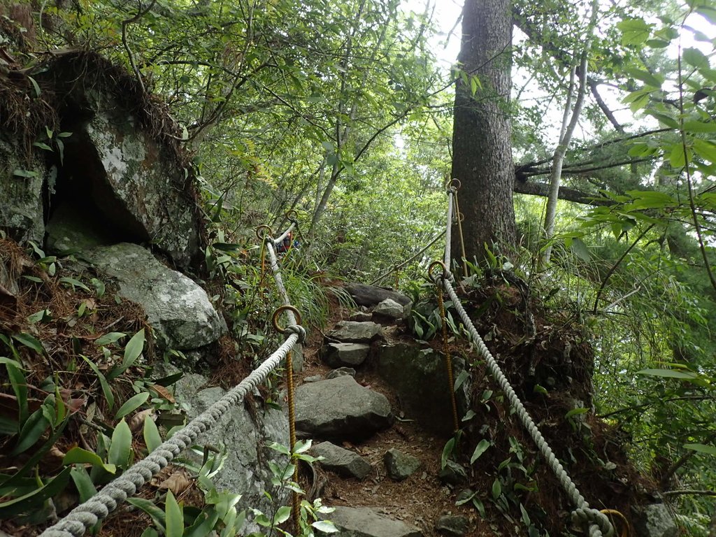 P5012309.JPG - 谷關七雄之  波津加山