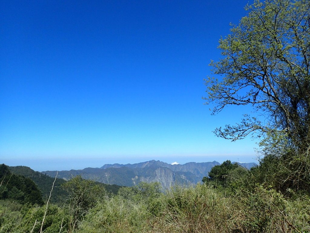 P3268073.JPG - 鹿林山  麟趾山步道  (01)