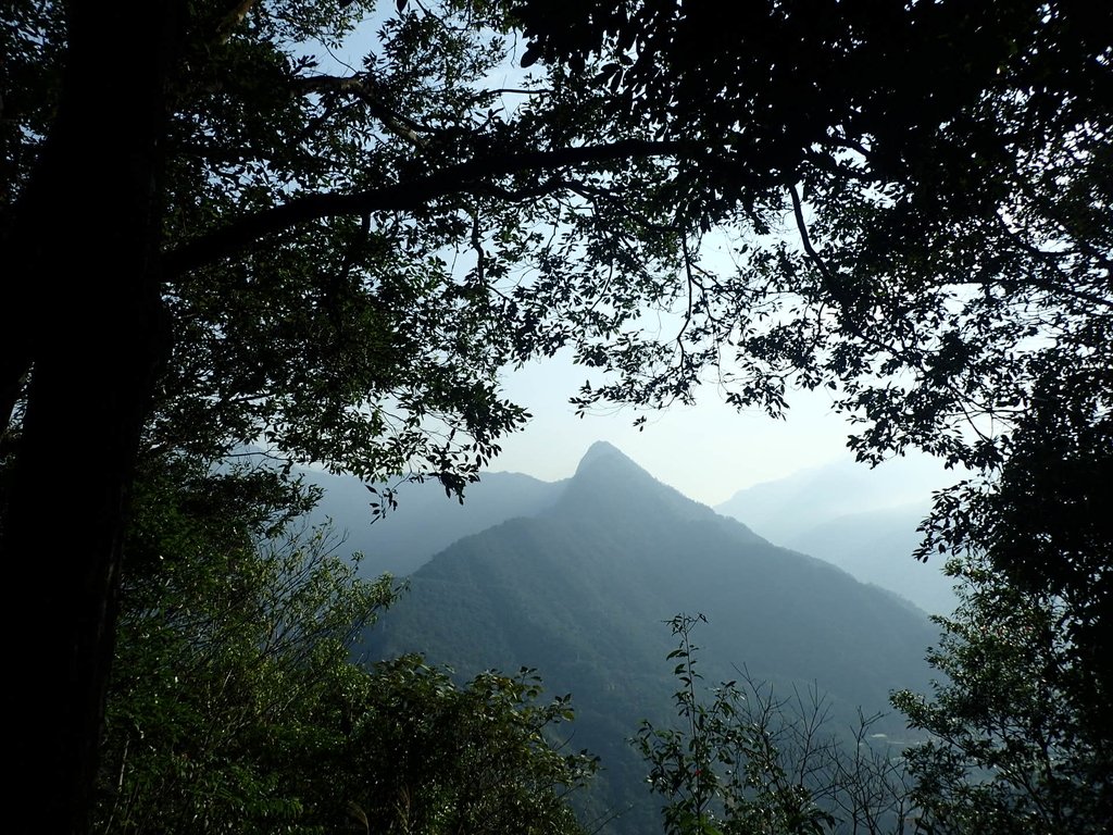 P3217531.JPG - 谷關七雄  白毛山  01