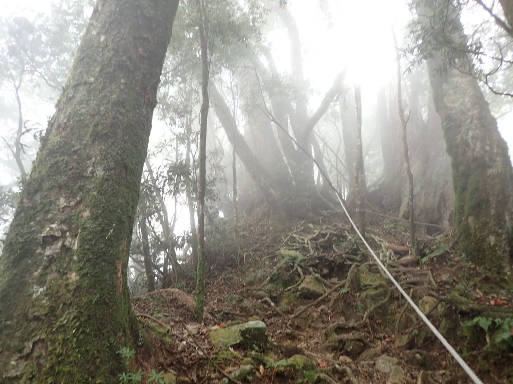 PA185693.JPG - 台中  和平  稍來山南峰