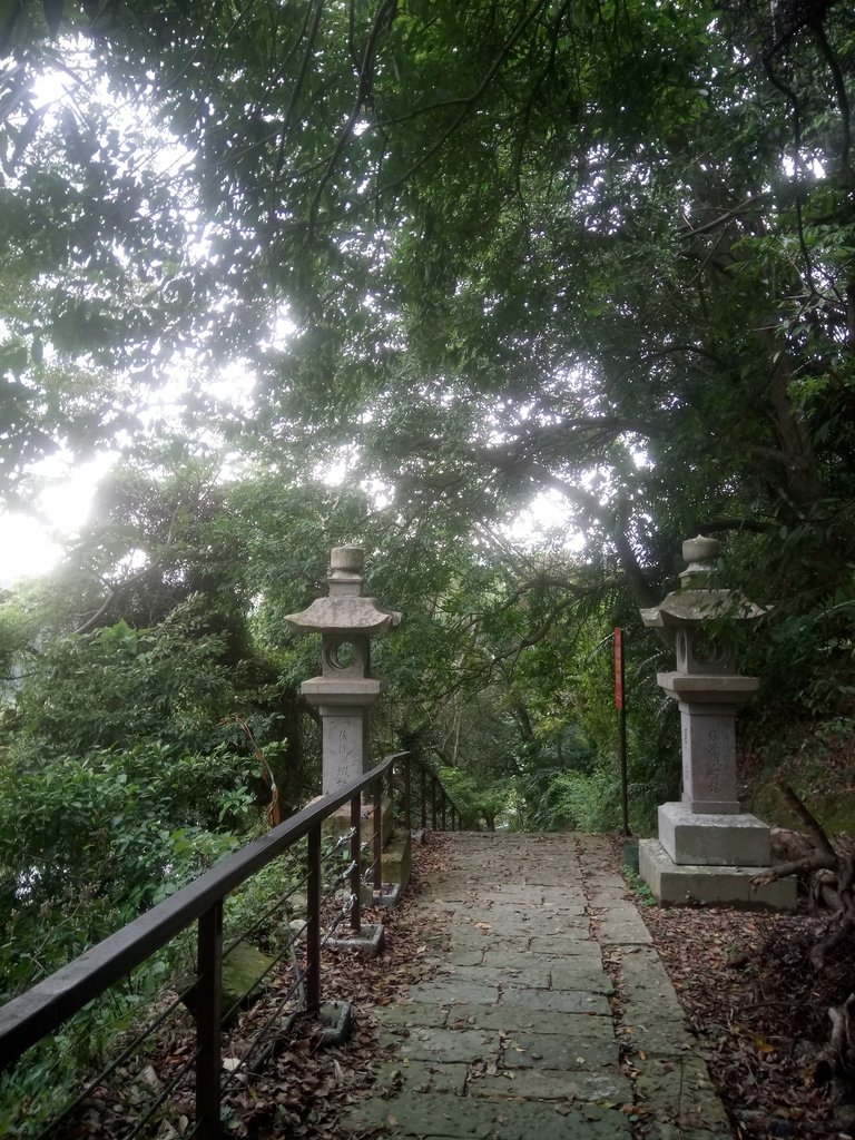 DSC_2849.JPG - 獅頭山  獅山古道  (02)