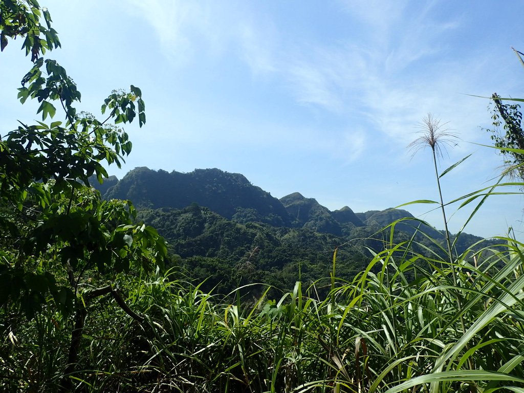 P4161412.JPG - 霧峰  青桐林生態園區