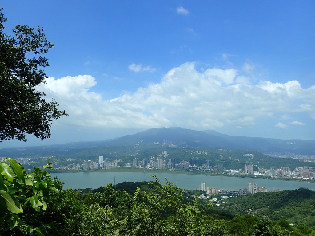 P8076260.JPG - 觀音山之  北橫古道